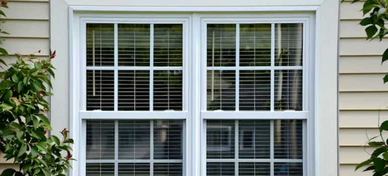 Custom Double Hung Windows in Cape Coral, FL