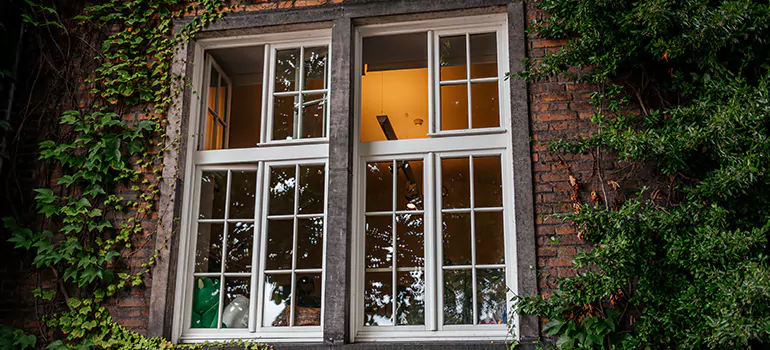 Energy Efficient Wood Windows in Cape Coral, FL