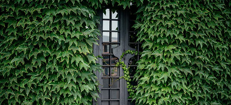 Garden Gate Repair in Cape Coral, FL
