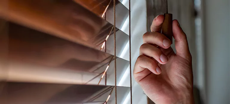 Double Roller Blinds in Cape Coral, FL
