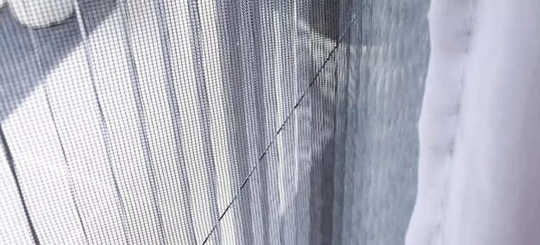 Fixing Screen Window Mesh in Cape Coral, FL