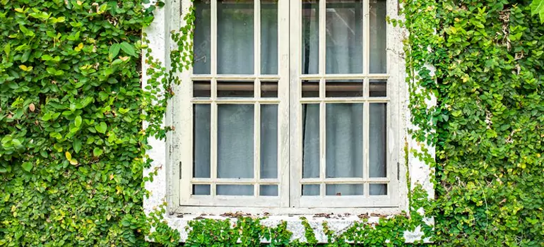 Garden Window Repair Near Me in Cape Coral, FL