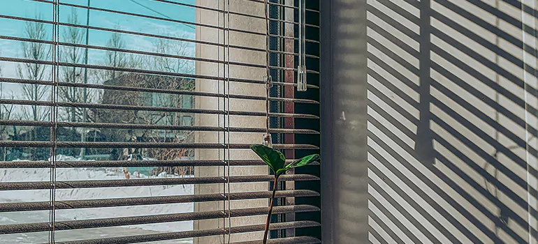 Commercial Window Blinds in Cape Coral, FL