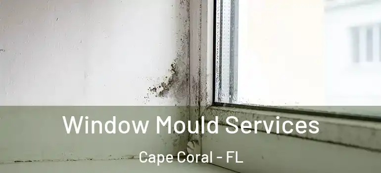  Window Mould Services Cape Coral - FL